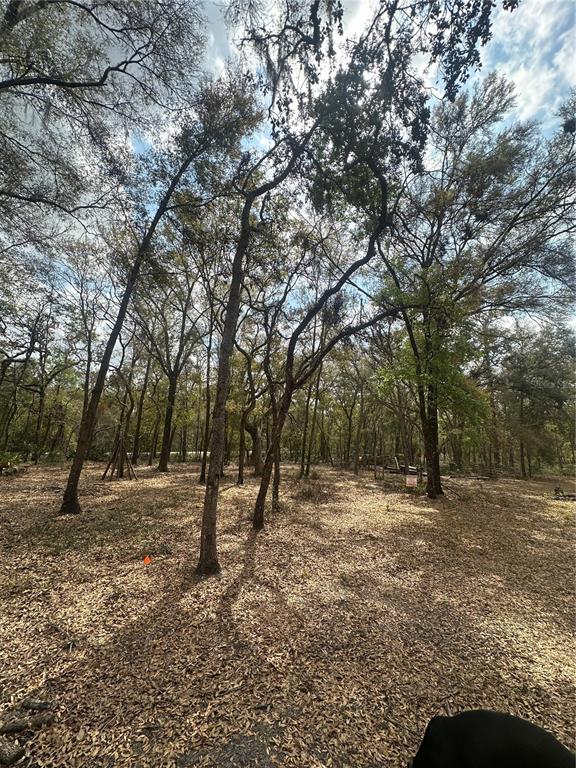 a view of empty field with trees
