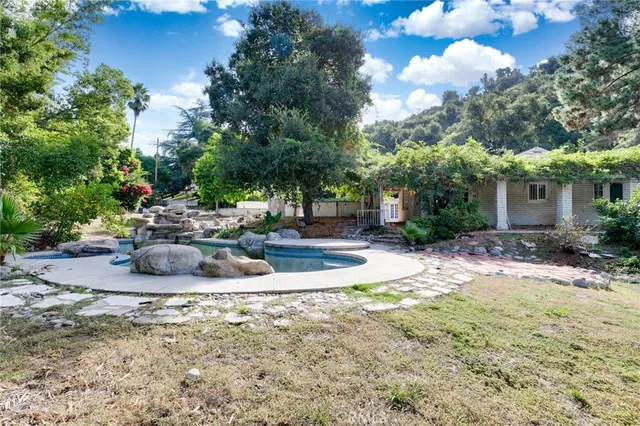 a view of a backyard with plants and trees