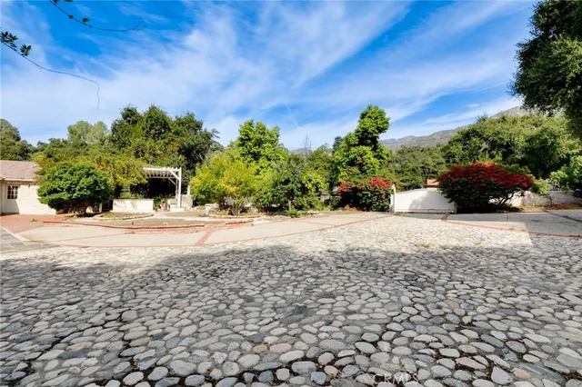a view of garden with stainless steel area