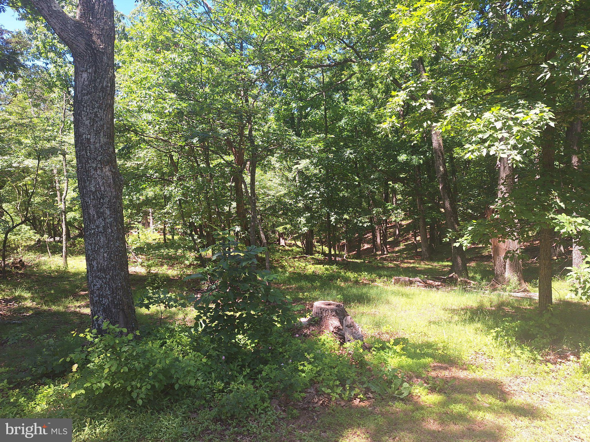 71 Trapper Ridge Lane Hedgesville, WV 25427 - Photo 17 of 36