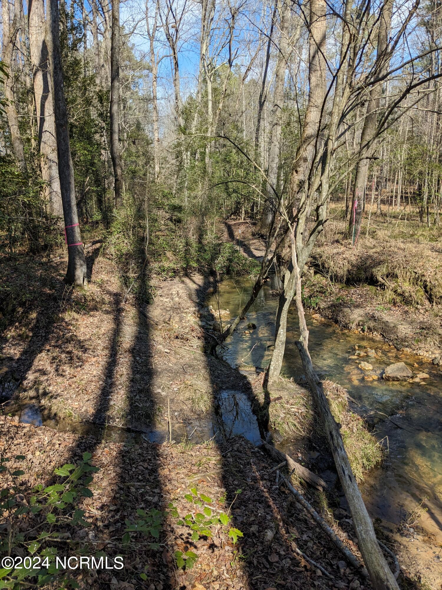 698 Gilchrist Road Cameron, NC 28326 - Photo 25 of 35 PXL_20240215_174147914