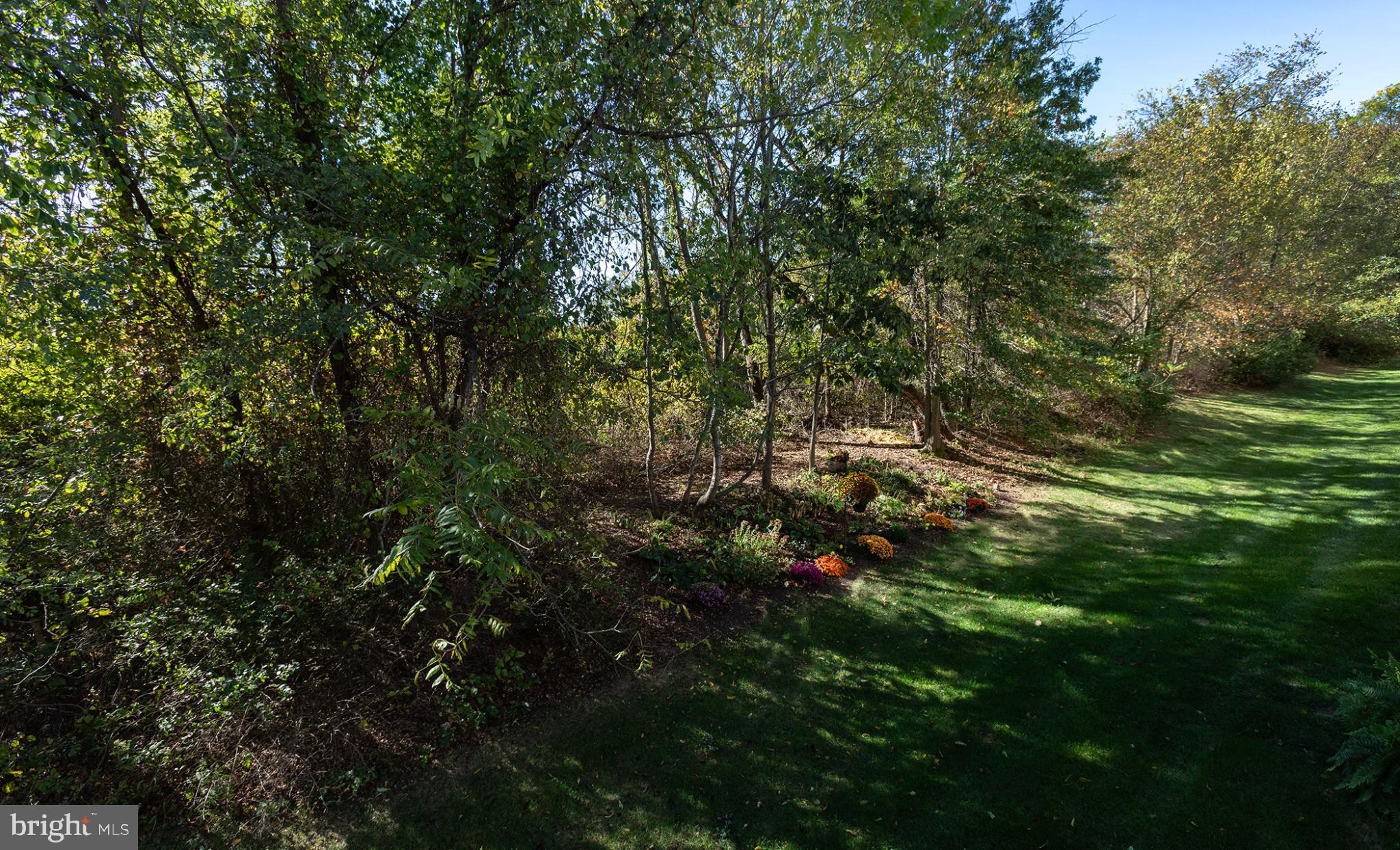 135 Mapleton Boulevard Harrisburg, PA 17112 - Photo 45 of 45 Lush greenery meets vibrant autumn hues.