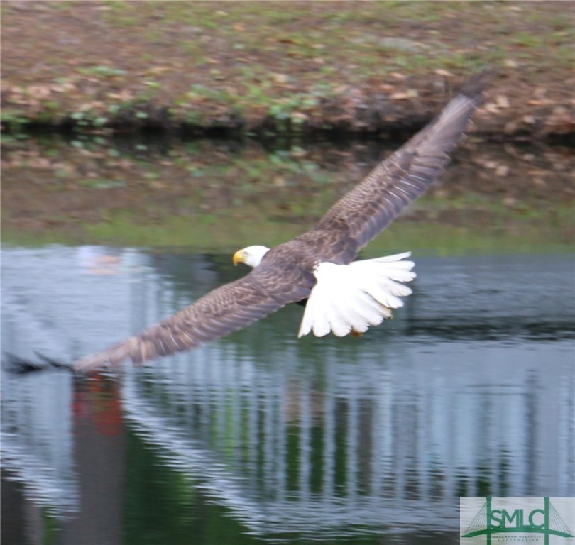 2 Pineheart Lane Savannah, GA 31411 - Photo 42 of 42