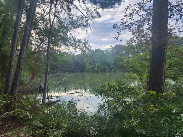 $65,000 | 371 Cr 4152 Pittsburg Tx 75686, Pittsburg, TX 75686