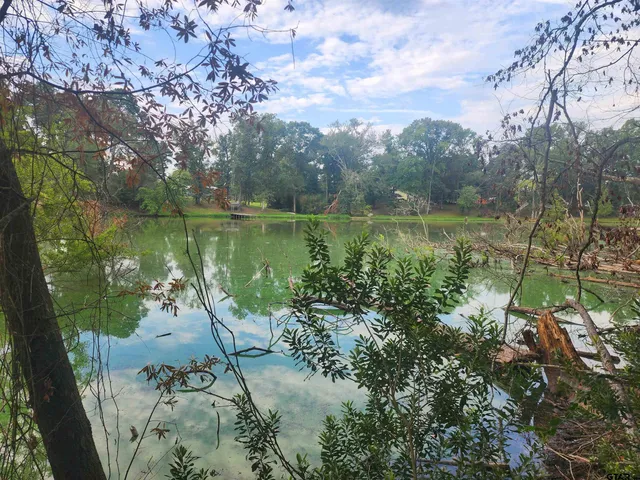 a view of a lake with a large trees