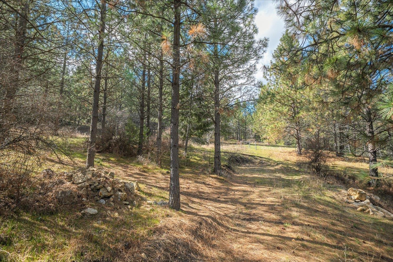 5724 East Corkery Road Spokane, WA 99223 - Photo 42 of 46