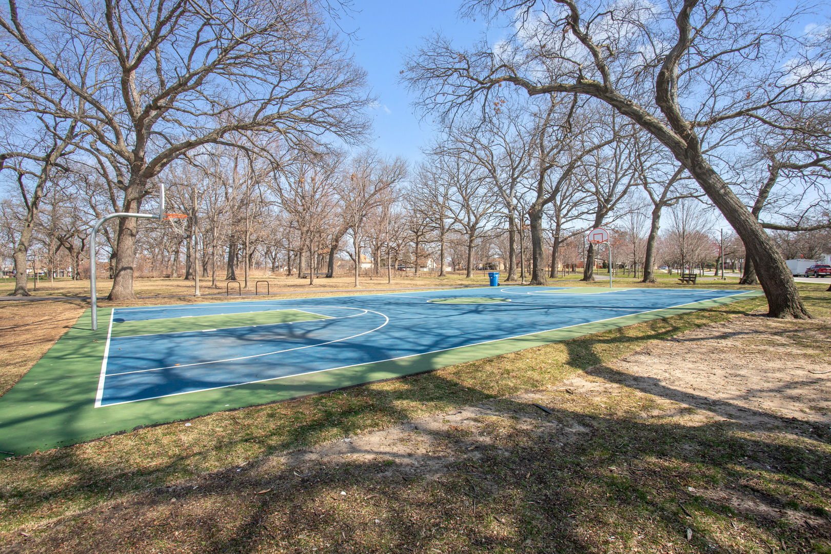 343 West 124th Street Chicago, IL 60628 - Photo 16 of 16