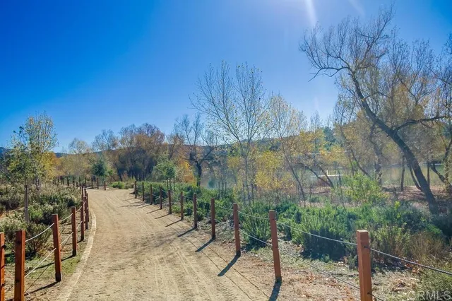 a view of a backyard with plants and wooden fence