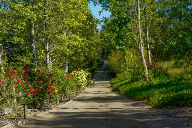 a view of flower garden with small plants