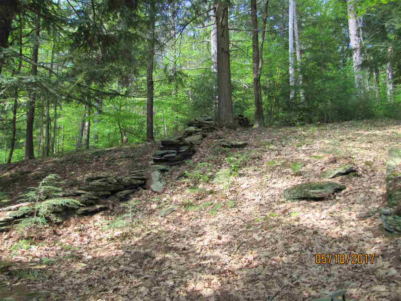 1189 Johnson Spooner Road Castleton, VT 05735 - Photo 5 of 36