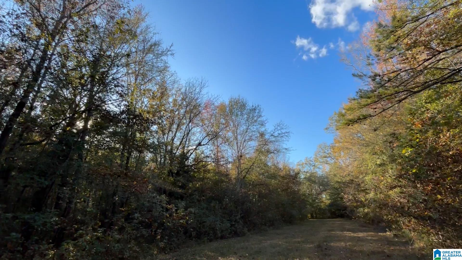 3294 Brady Road, Unit 24 ACRES Letohatchee, AL 36047 - Photo 23 of 44 Gallery Image 23