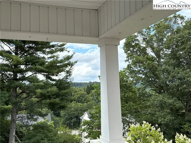 a view of a bunch of plants