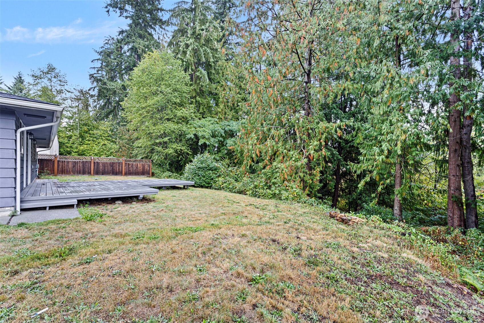 11705 Silver Way Everett, WA 98208 - Photo 21 of 26 a backyard of a house with lots of green space