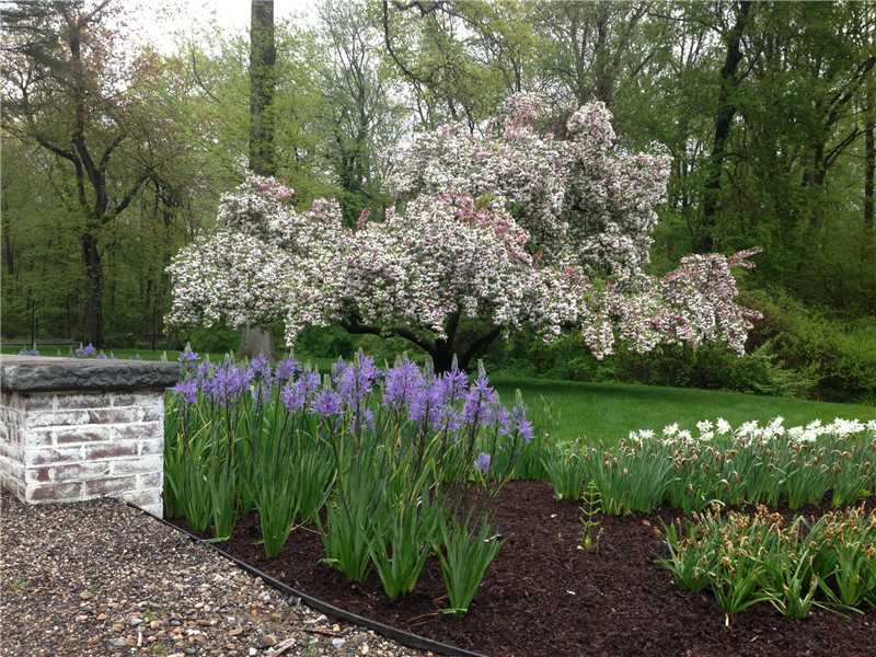 15 Shagbark Road Darien, CT 06820 - Photo 22 of 25 a view of a garden with a fountain