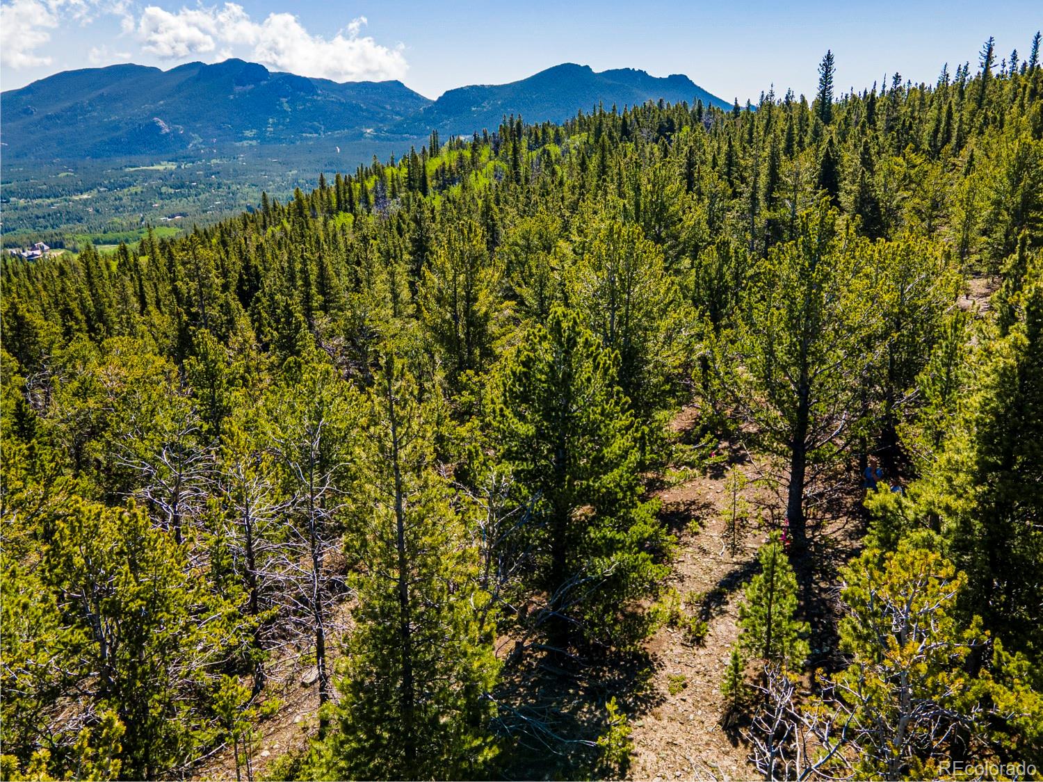 4 Roosevelt Ridge Black Hawk, CO 80422 - Photo 24 of 30 a view of a lush green forest with a mountain in the background