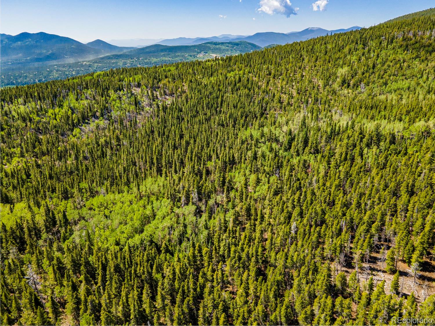4 Roosevelt Ridge Black Hawk, CO 80422 - Photo 5 of 30 a view of a lush green forest with a mountain