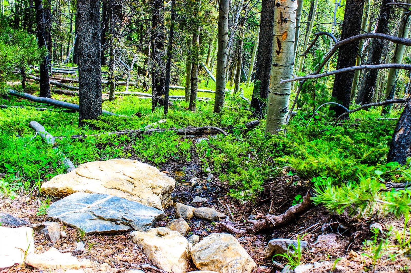 4 Roosevelt Ridge Black Hawk, CO 80422 - Photo 8 of 30 a backyard of a house with lots of green space