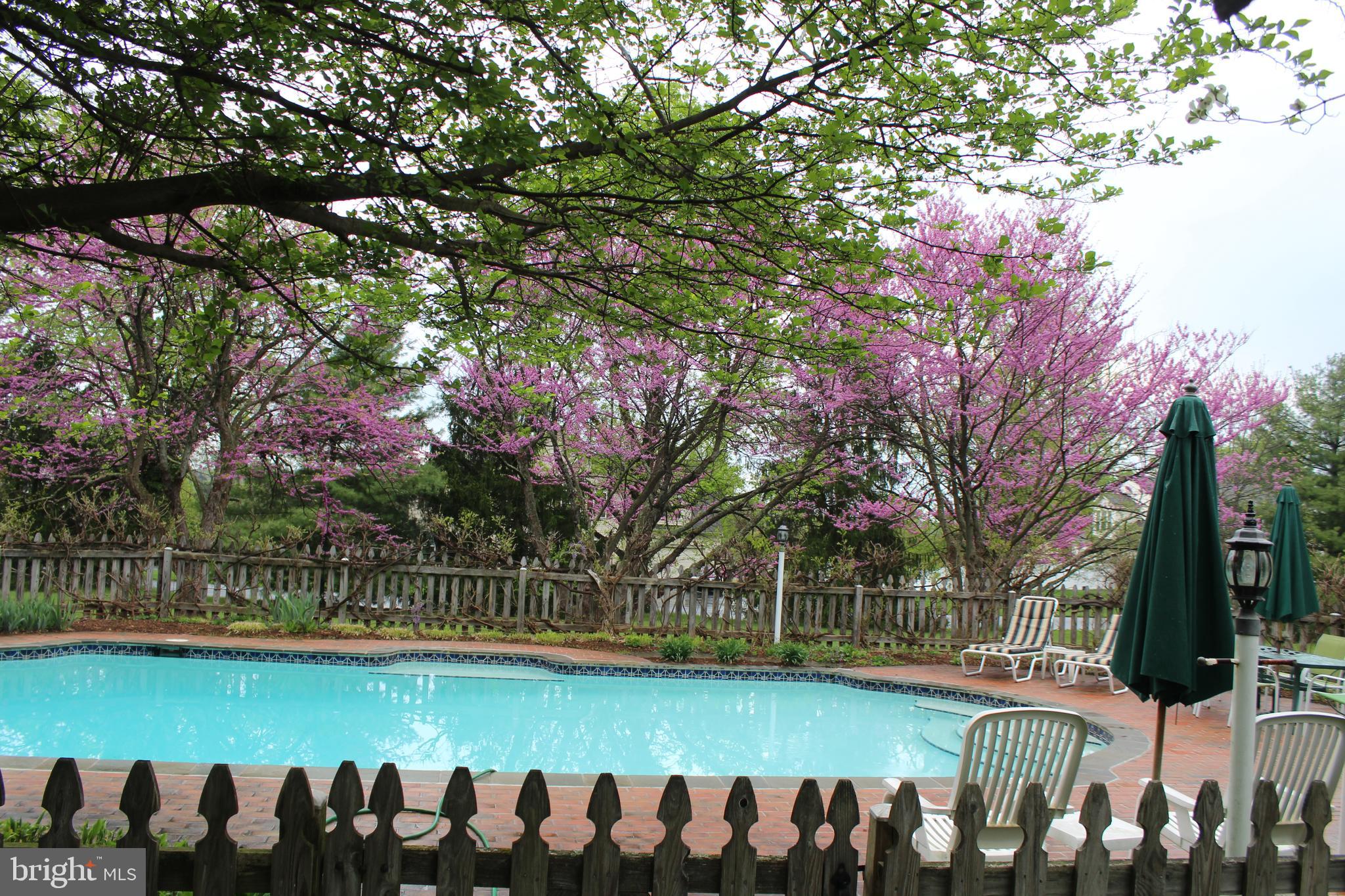 805 Old Joppa Road Joppa, MD 21085 - Photo 120 of 144