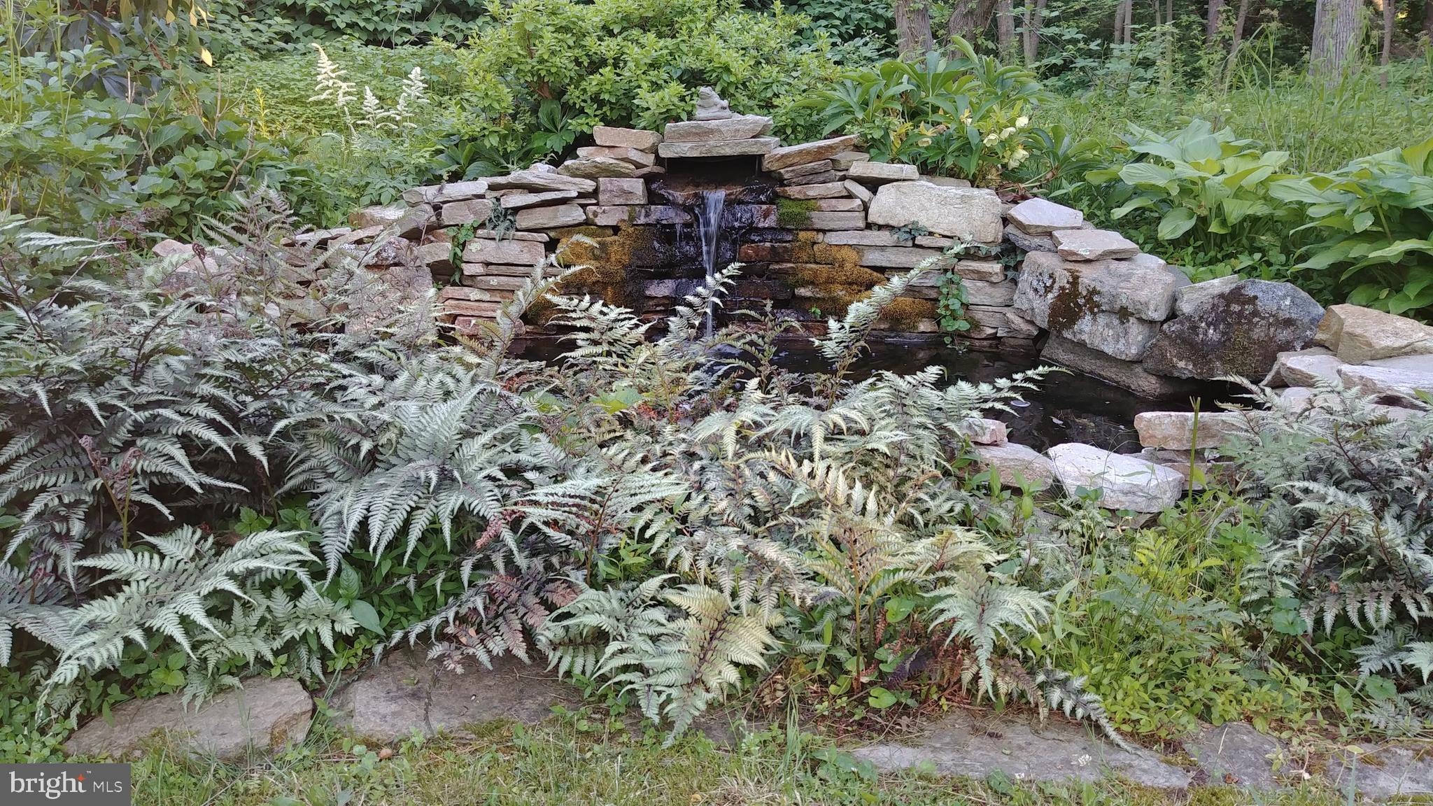 805 Old Joppa Road Joppa, MD 21085 - Photo 99 of 144 Frog Pond