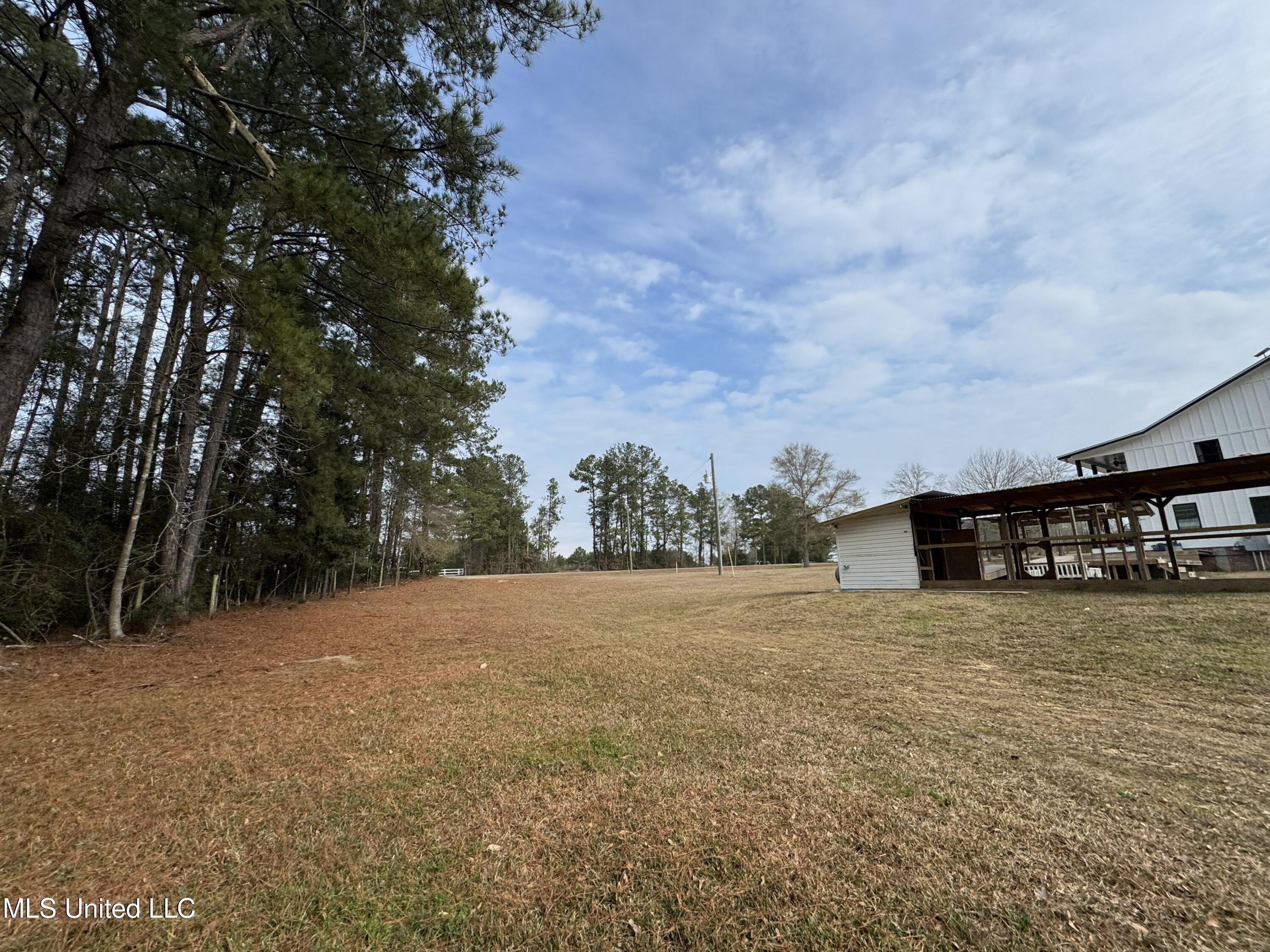 1134 Seminary-Sumrall Road Seminary, MS 39479 - Photo 54 of 81 IMG_8377