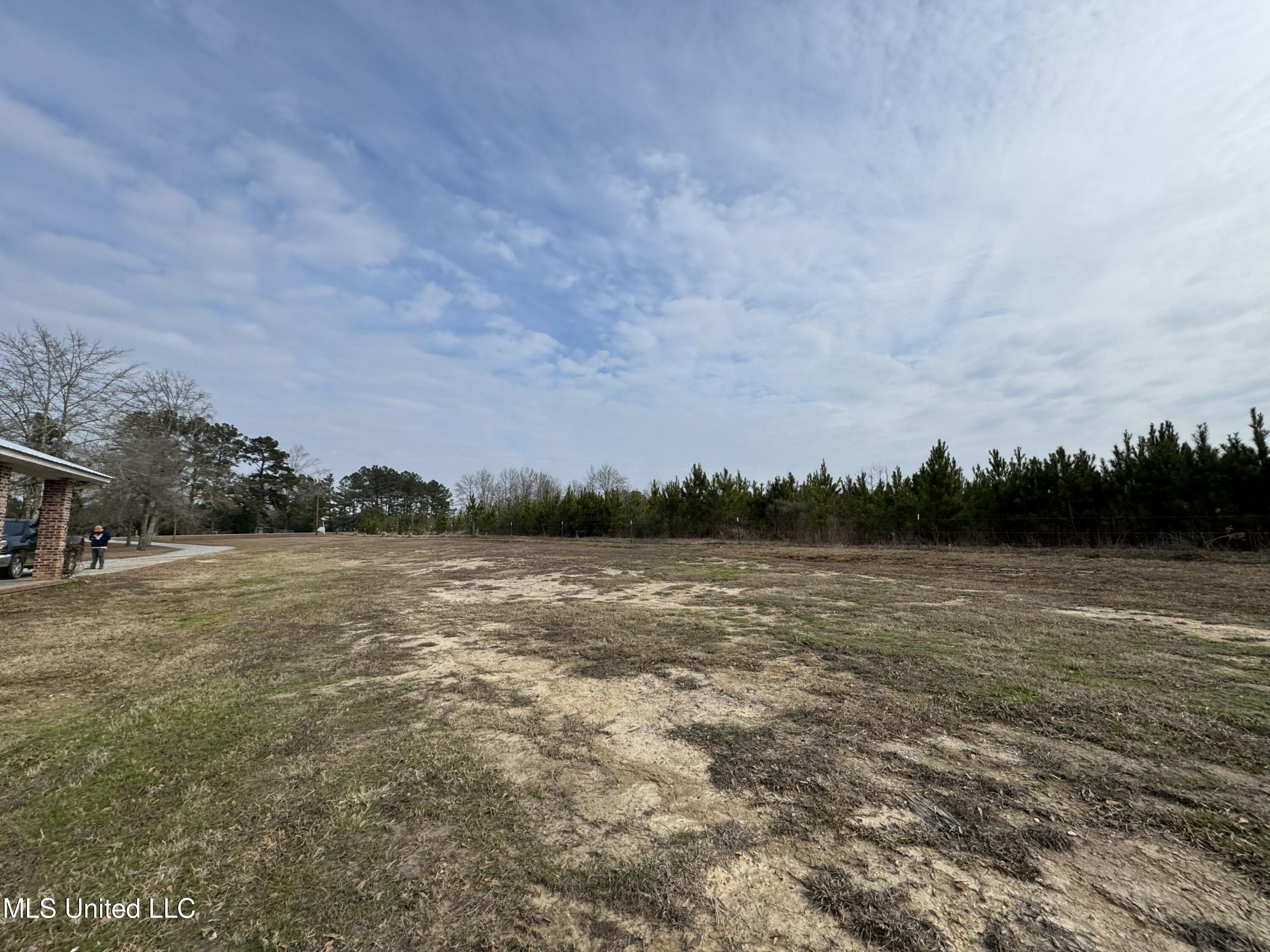 1134 Seminary-Sumrall Road Seminary, MS 39479 - Photo 60 of 81 IMG_8386