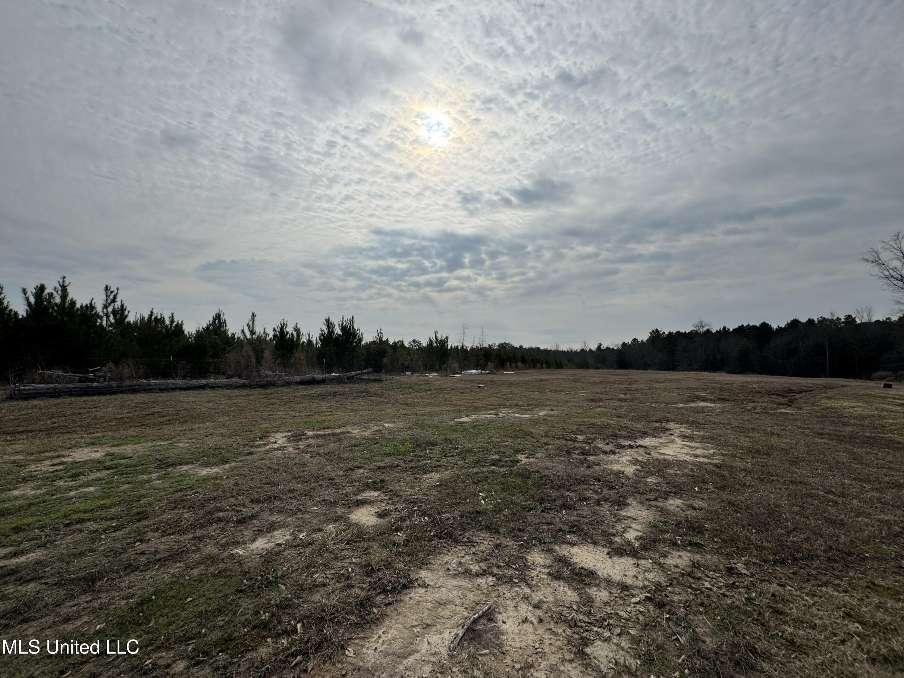 1134 Seminary-Sumrall Road Seminary, MS 39479 - Photo 61 of 81 IMG_8387