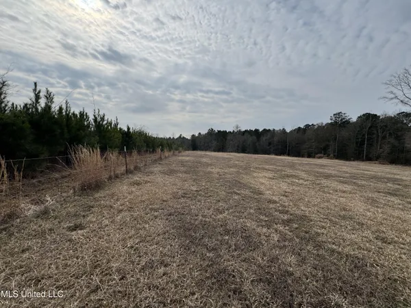 $530,000 | 1134 Seminary-Sumrall Road, Seminary, MS 39479