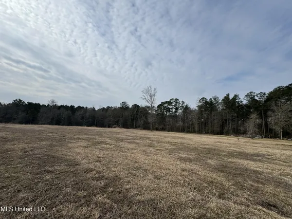 $530,000 | 1134 Seminary-Sumrall Road, Seminary, MS 39479