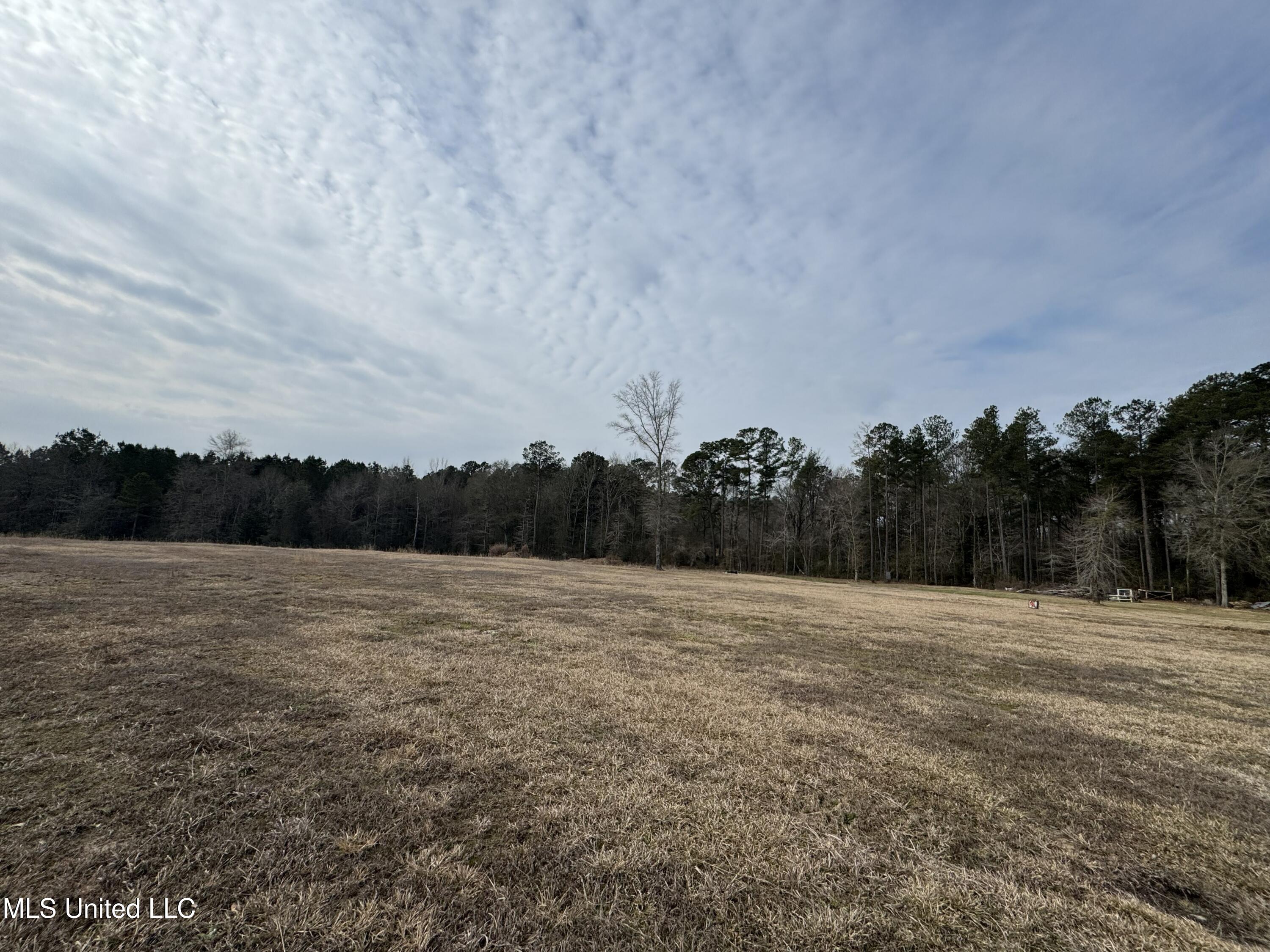 1134 Seminary-Sumrall Road Seminary, MS 39479 - Photo 64 of 81 IMG_8390