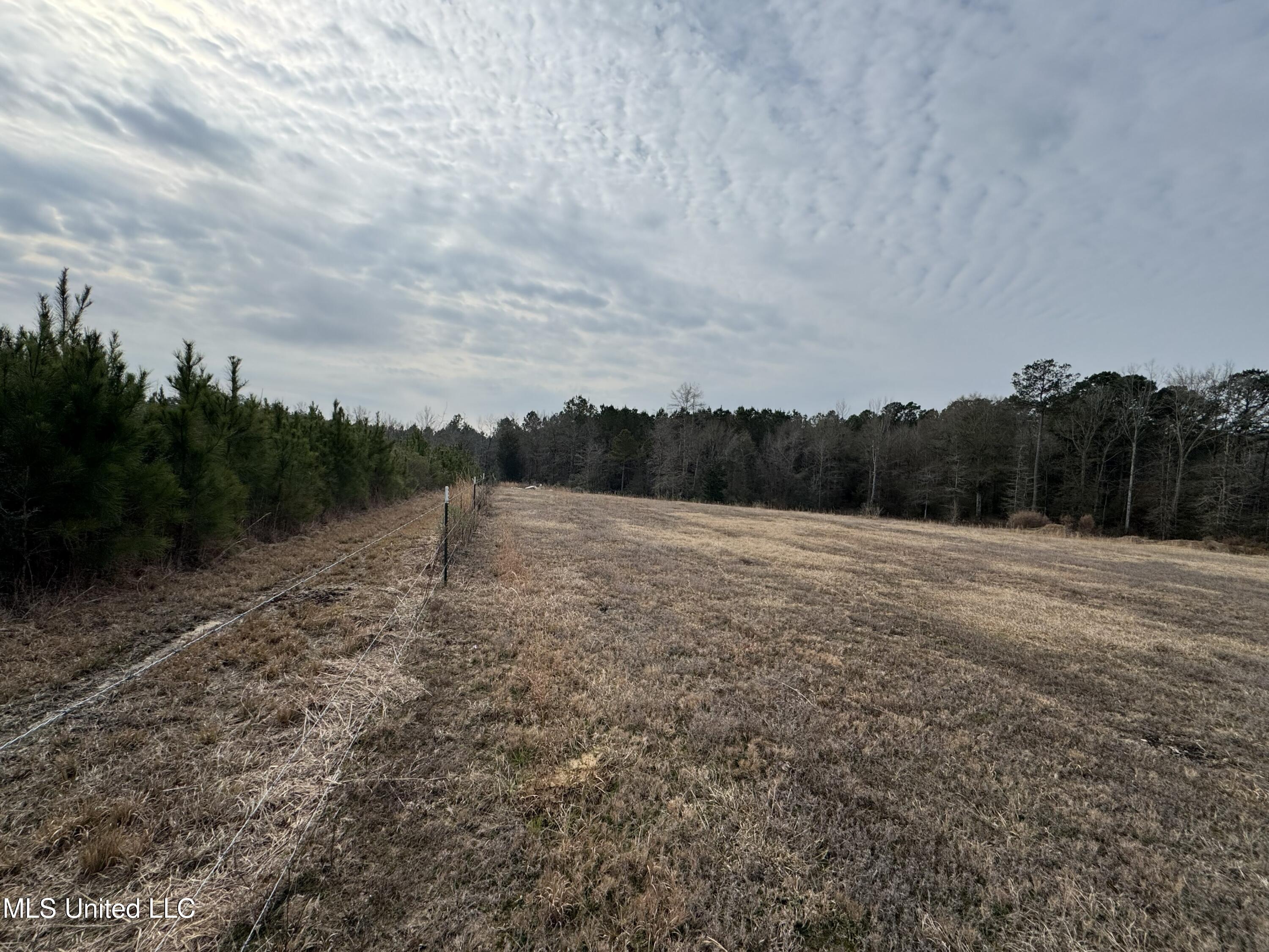 1134 Seminary-Sumrall Road Seminary, MS 39479 - Photo 65 of 81 IMG_8391