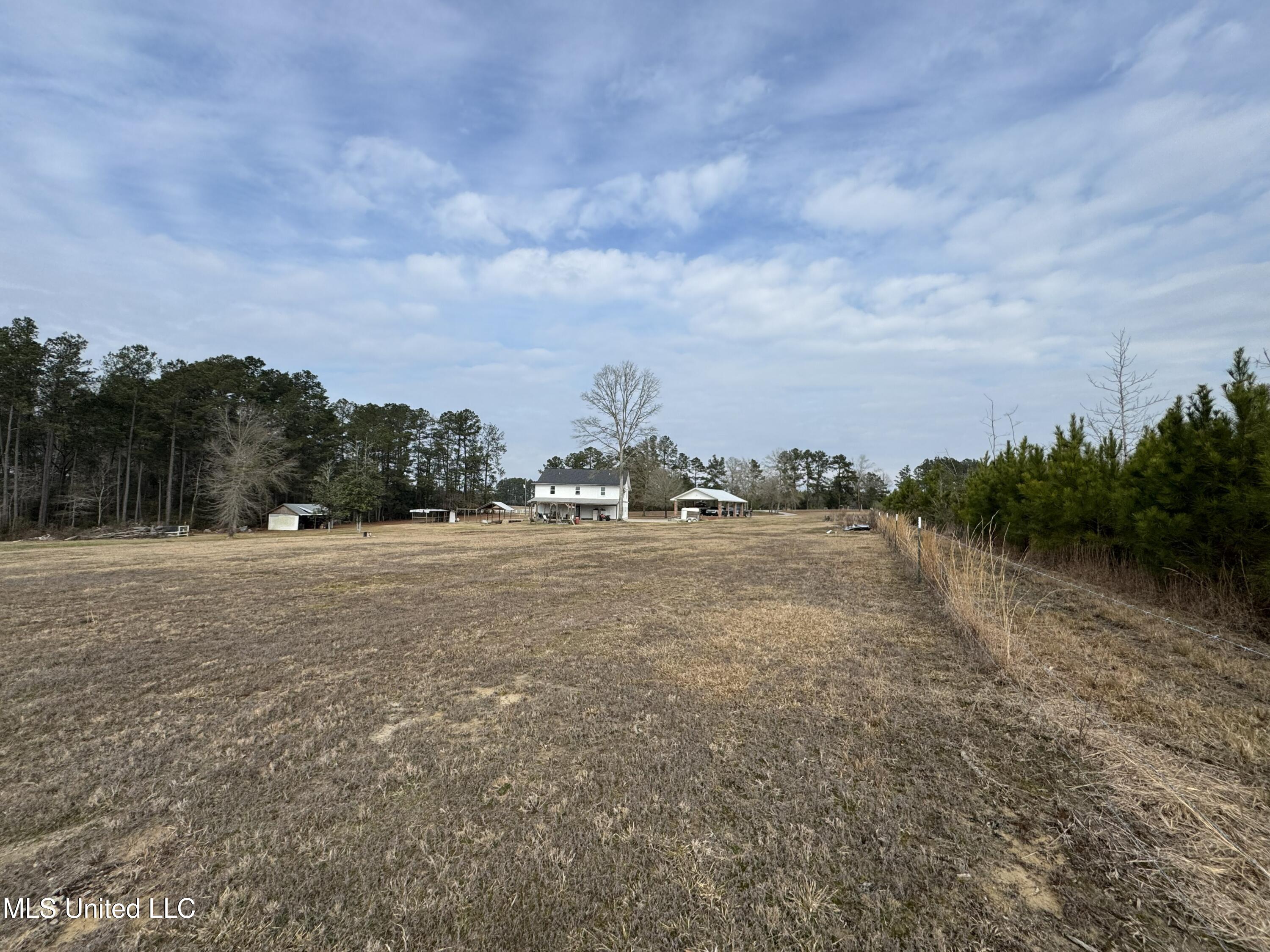 1134 Seminary-Sumrall Road Seminary, MS 39479 - Photo 66 of 81 IMG_8394