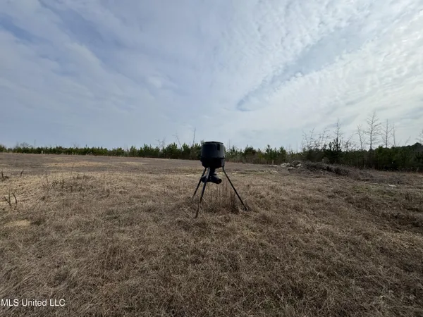 $530,000 | 1134 Seminary-Sumrall Road, Seminary, MS 39479