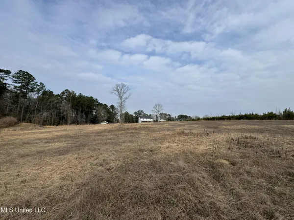 $530,000 | 1134 Seminary-Sumrall Road, Seminary, MS 39479