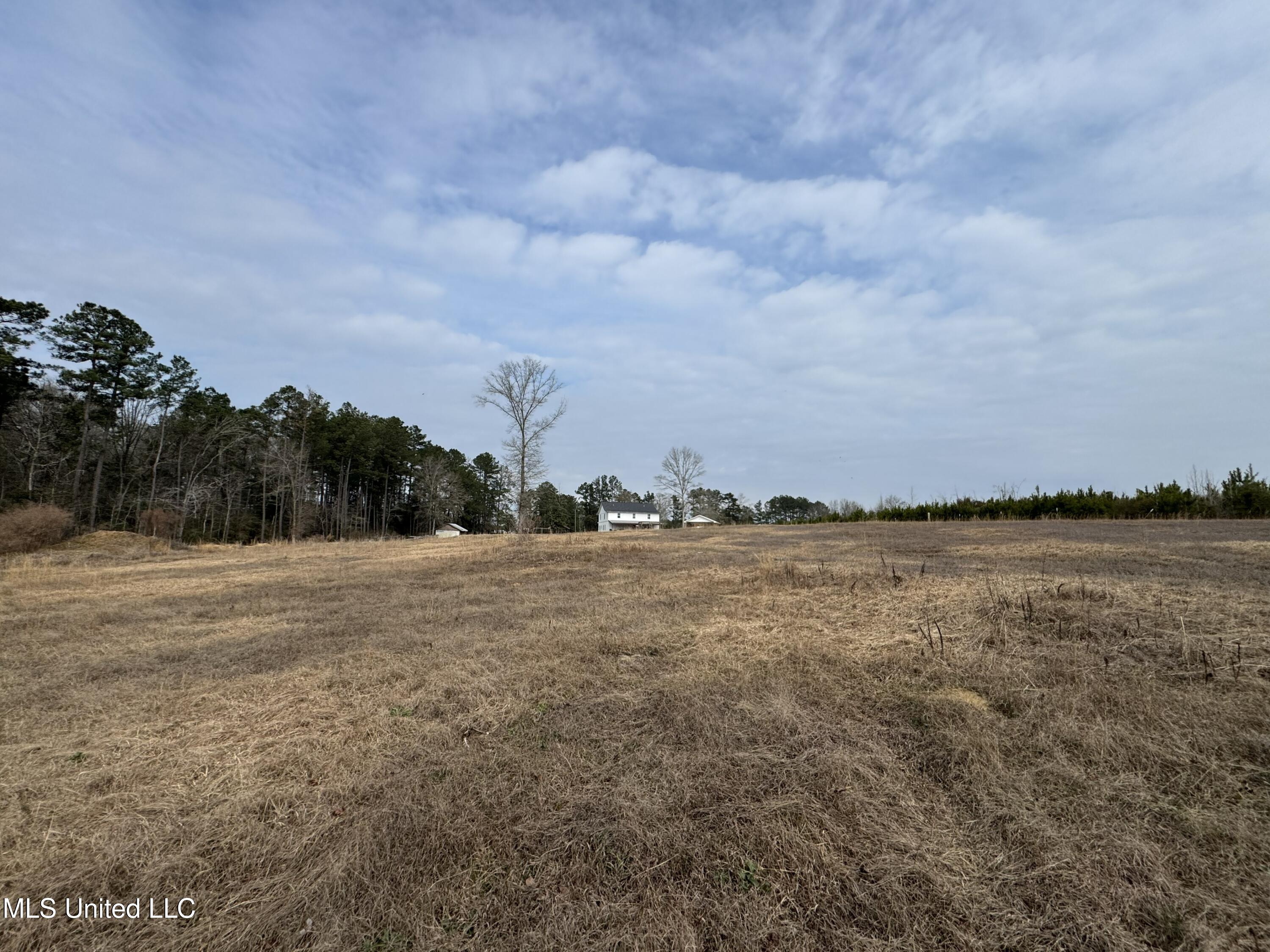 1134 Seminary-Sumrall Road Seminary, MS 39479 - Photo 68 of 81 IMG_8400