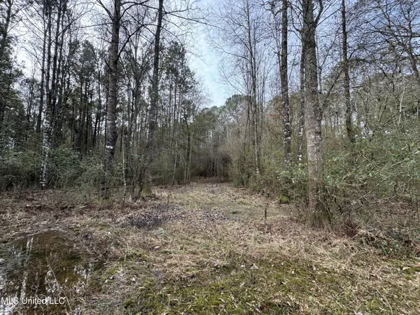 $530,000 | 1134 Seminary-Sumrall Road, Seminary, MS 39479