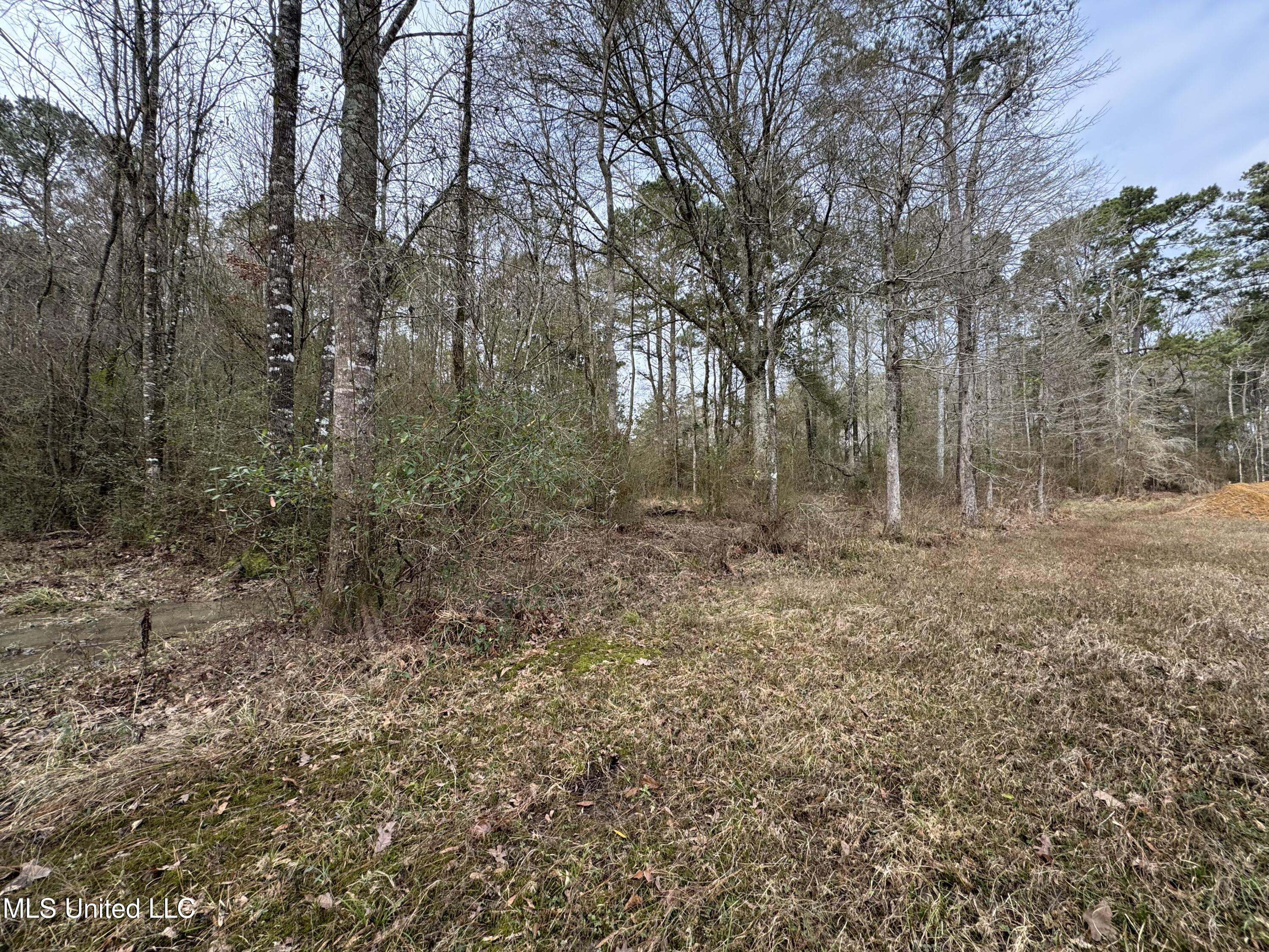 1134 Seminary-Sumrall Road Seminary, MS 39479 - Photo 71 of 81 IMG_8405