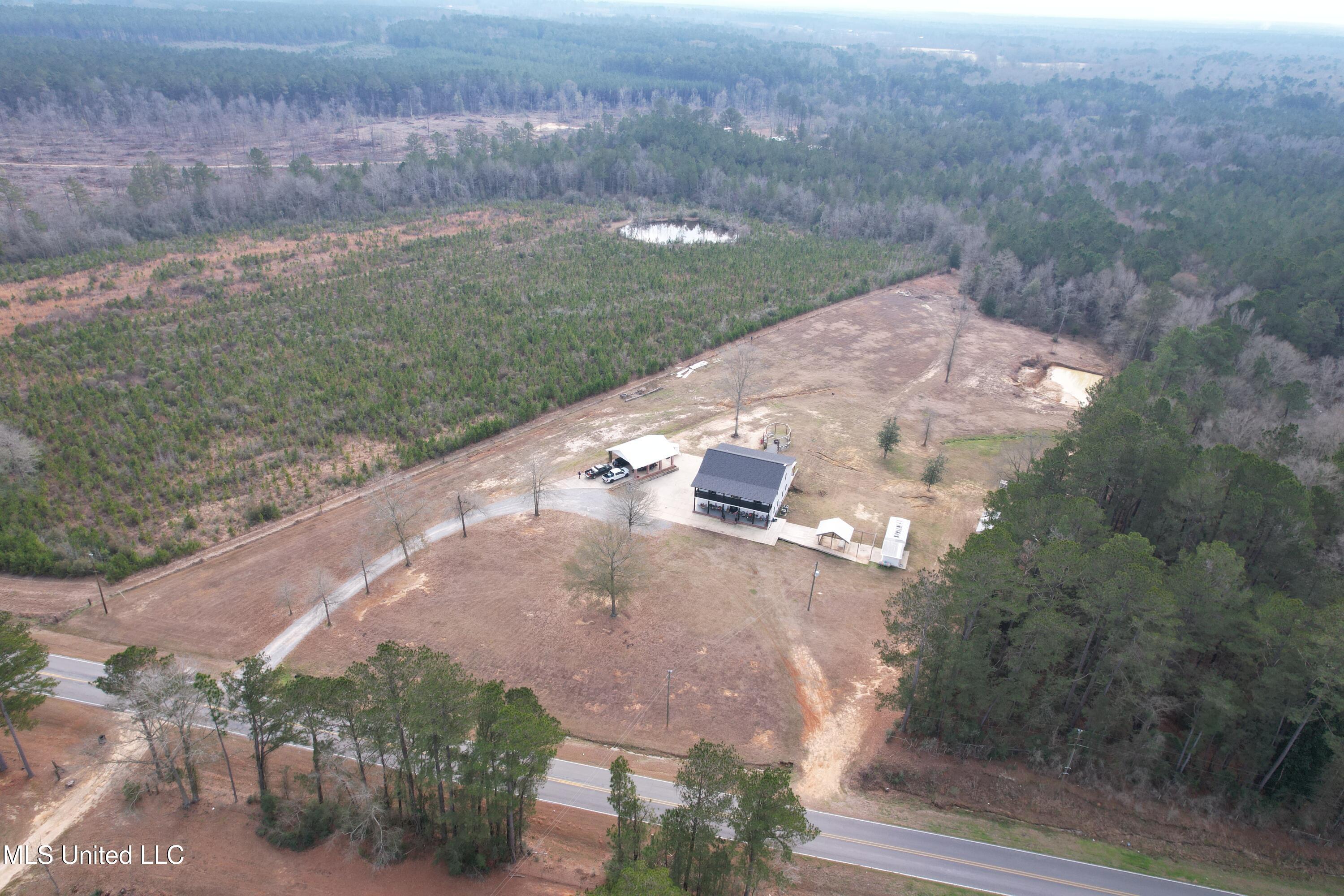 1134 Seminary-Sumrall Road Seminary, MS 39479 - Photo 78 of 81 DJI_0148