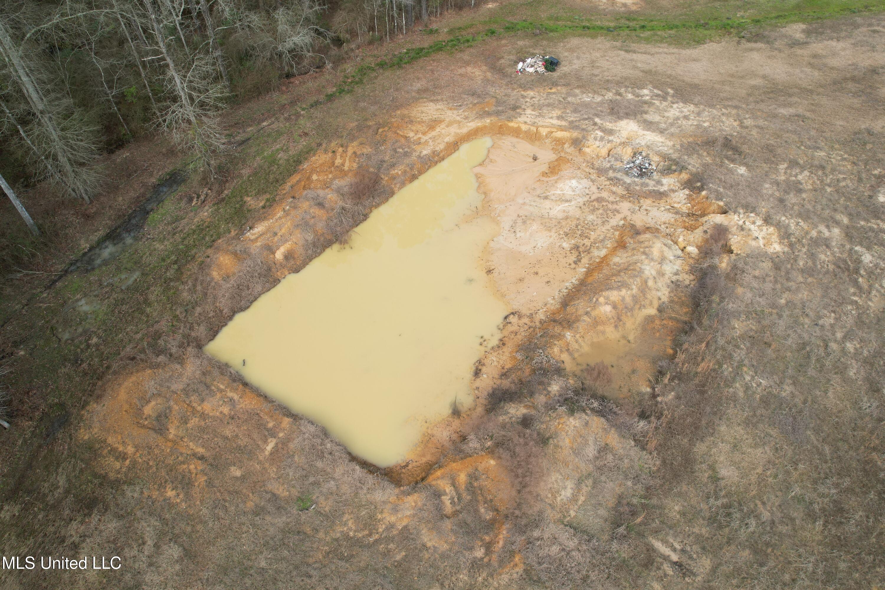1134 Seminary-Sumrall Road Seminary, MS 39479 - Photo 79 of 81 DJI_0149