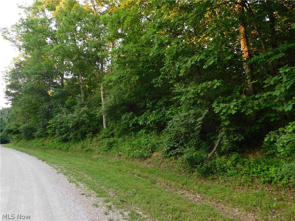 0 Man Of War Road Walker, WV 26180 - Photo 4 of 10 Gallery Image 4