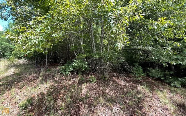 $24,900 | Lot 71 Fires Creek Cove, Hayesville, NC 28904