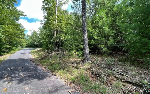a view of a forest with trees and wooden fence