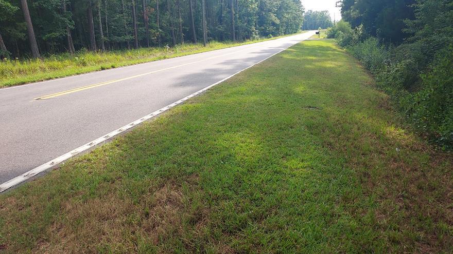 534 Weatherford Road Orangeburg, SC 29115 - Photo 9 of 11 roadview