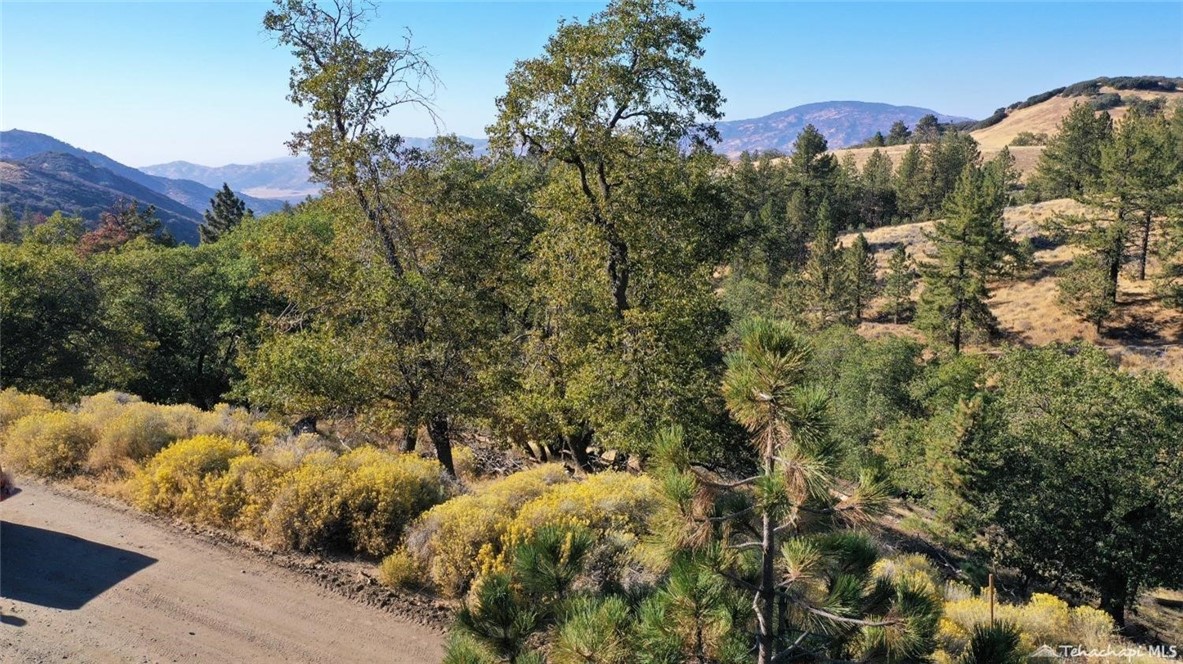 16851 Interlaken Street Tehachapi, CA 93561 - Photo 2 of 3