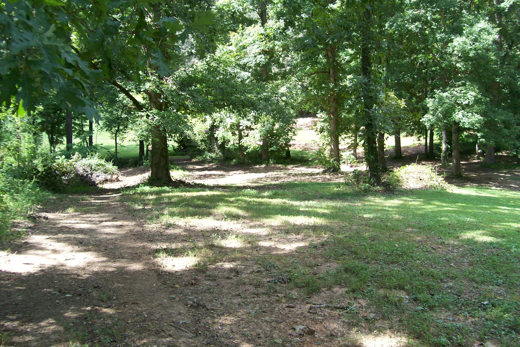 769 Bugger Ridge Road McMinnville, TN 37110 - Photo 6 of 8