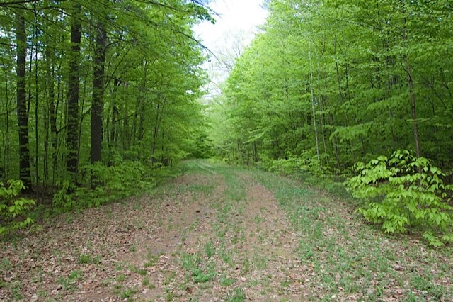 0 Kipling Trace Quechee, VT 05059 - Photo 14 of 29 Gallery Image 14
