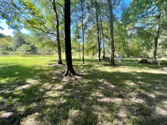 a view of a trees in a yard
