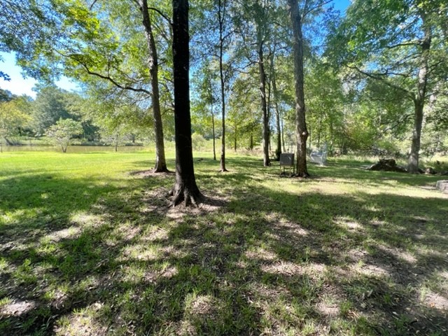 478 Center Drive Cleveland, TX 77327 - Photo 19 of 33 a view of a yard with a tree