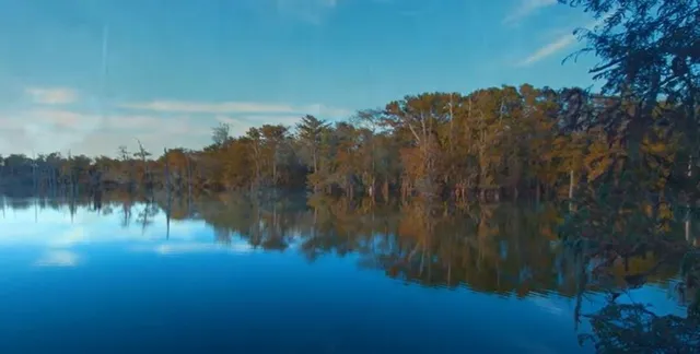 a view of a swimming pool and lounge chairs