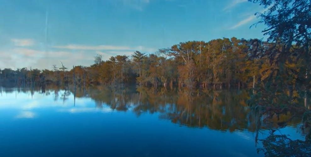 478 Center Drive Cleveland, TX 77327 - Photo 3 of 33