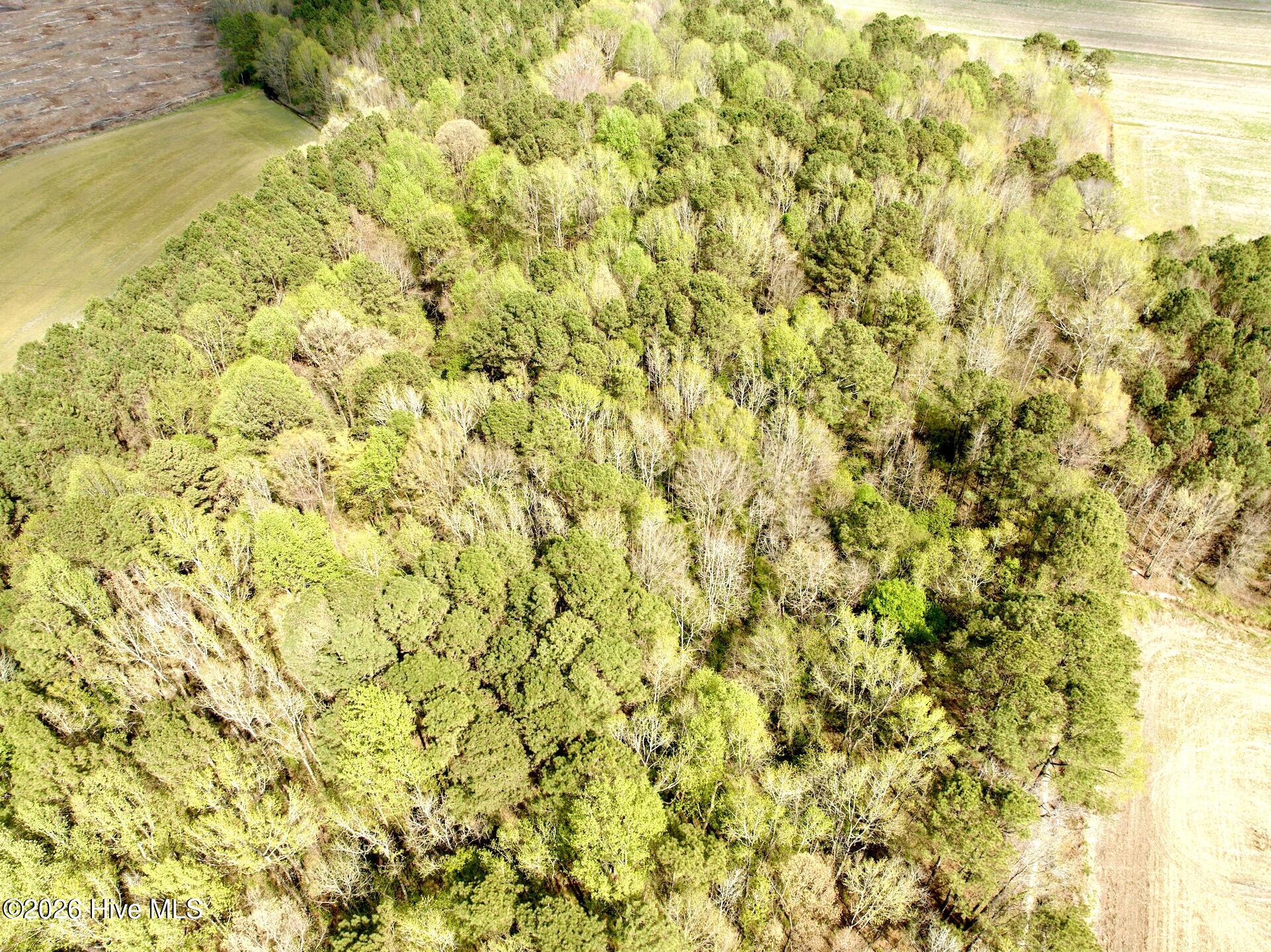 0 Middle Swamp Road Gates, NC 27937 - Photo 10 of 25 8